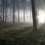펜션 Auszeit In Maerkische Schweiz *